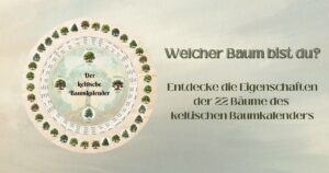 Beitragsbild Baumkalender