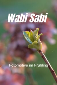 Wabi Sabi Fotoideen im Frühling