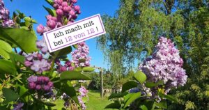 12. Mai 2025 in 12 Bildern festgehalten