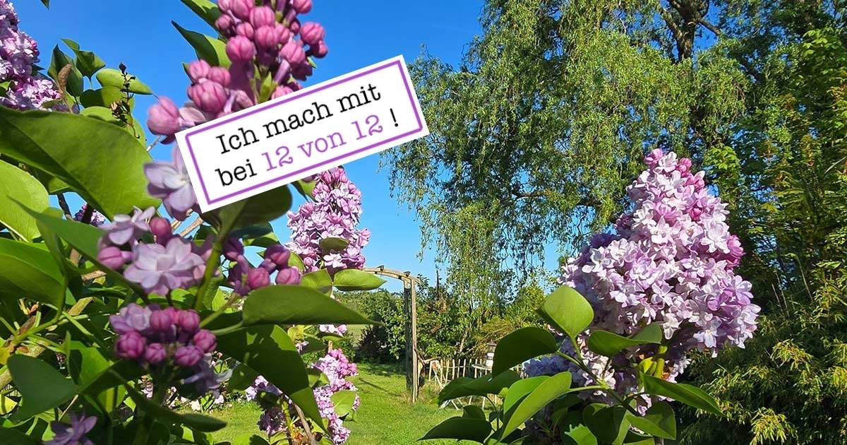 12. Mai 2025 in 12 Bildern festgehalten