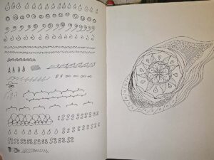 Erste frei gestaltete Form mit ZenGrafik
