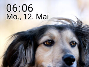 Handy-Screenshot