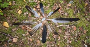 Ein Mandala aus Vogelfedern gelegt