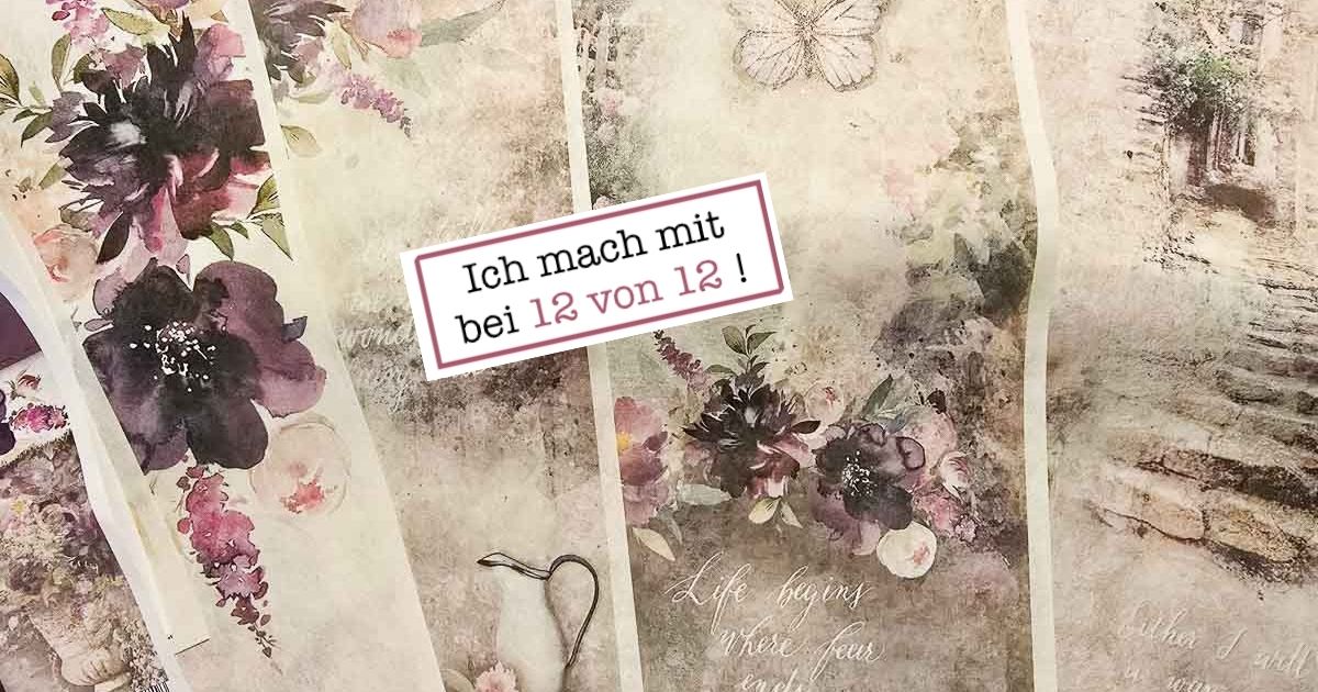Titelbild 12 von 12 im Juli 2025