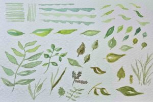 Aquarell malen: Pinselübungen