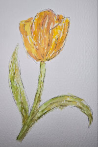 Aquarell malen: Trocken-auf-Trocken